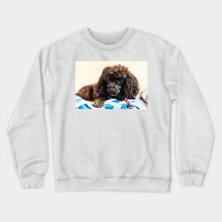 the princess Crewneck Sweatshirt